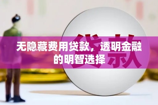 睢宁无隐藏费用贷款，透明金融的明智选择