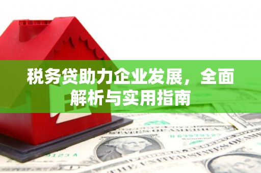 睢宁税务贷助力企业发展，全面解析与实用指南