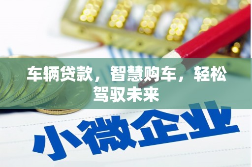 睢宁车辆贷款，智慧购车，轻松驾驭未来