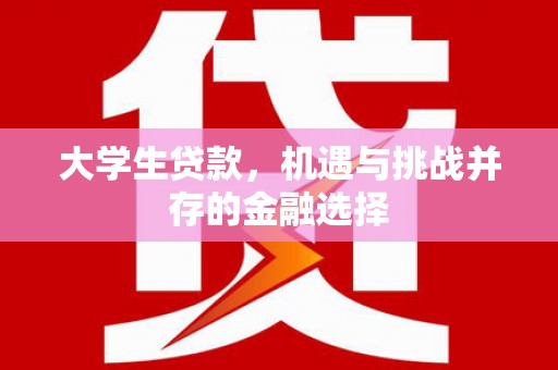 睢宁大学生贷款，机遇与挑战并存的金融选择
