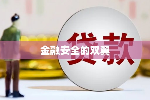 睢宁金融安全的双翼