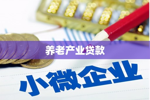 睢宁养老产业贷款