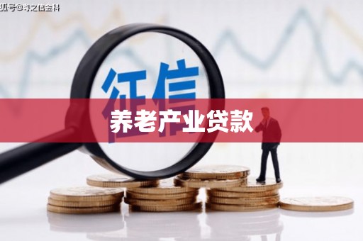 睢宁养老产业贷款