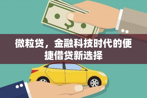 睢宁微粒贷，金融科技时代的便捷借贷新选择