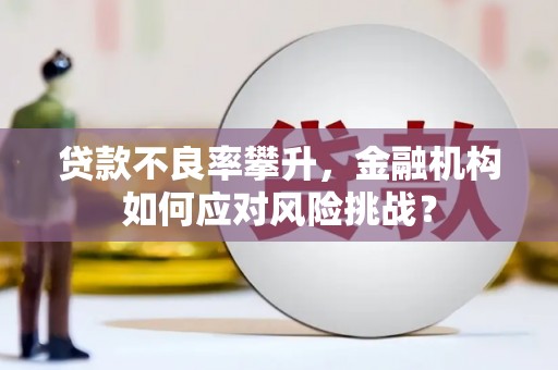 睢宁贷款不良率攀升，金融机构如何应对风险挑战？