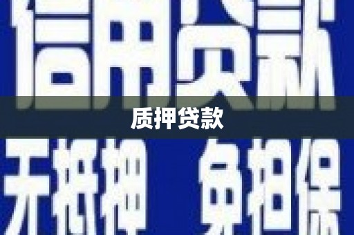 睢宁质押贷款