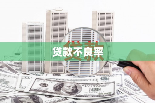 睢宁贷款不良率