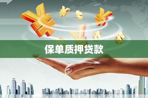 睢宁保单质押贷款