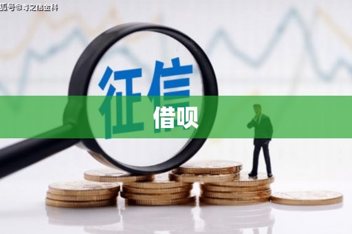 睢宁借呗
