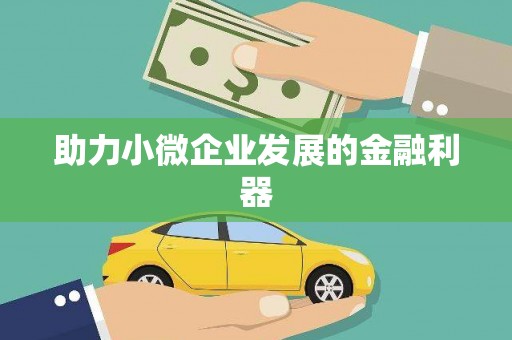 睢宁助力小微企业发展的金融利器
