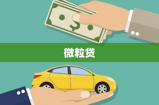 睢宁微粒贷