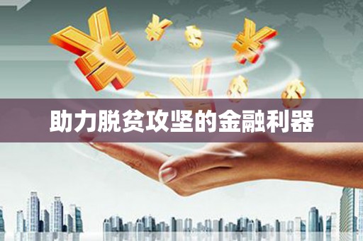 睢宁助力脱贫攻坚的金融利器