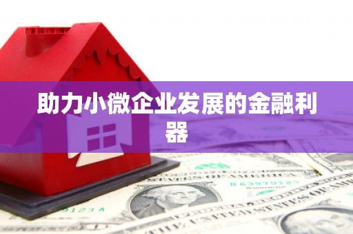 睢宁助力小微企业发展的金融利器