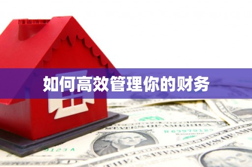 睢宁如何高效管理你的财务