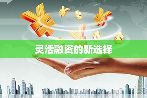 睢宁灵活融资的新选择