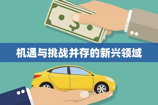 睢宁机遇与挑战并存的新兴领域