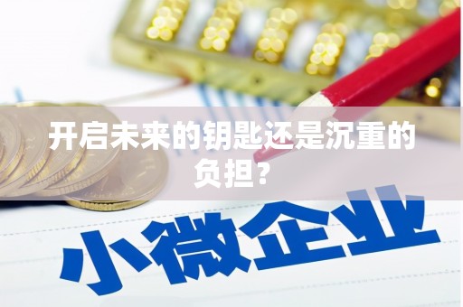 睢宁开启未来的钥匙还是沉重的负担？