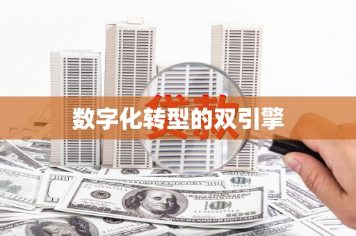睢宁数字化转型的双引擎