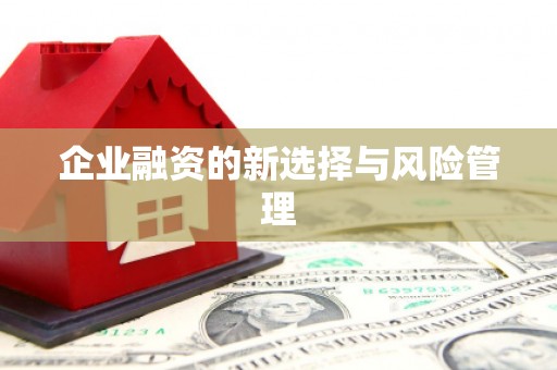 睢宁企业融资的新选择与风险管理
