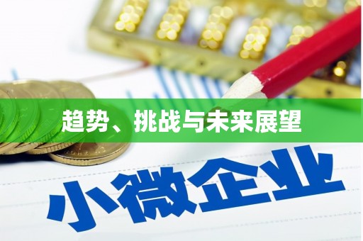 睢宁趋势、挑战与未来展望