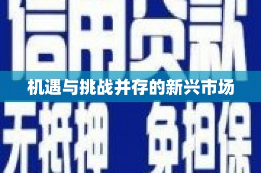 睢宁机遇与挑战并存的新兴市场