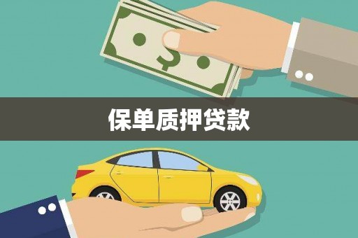 睢宁保单质押贷款