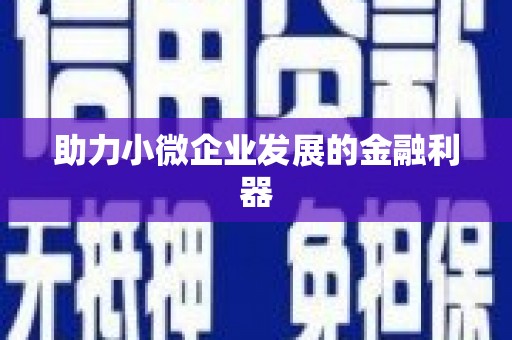 睢宁助力小微企业发展的金融利器