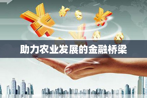 睢宁助力农业发展的金融桥梁