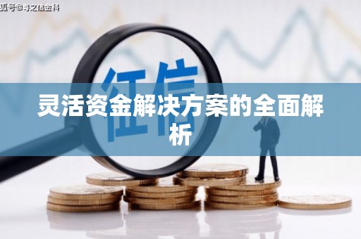 睢宁灵活资金解决方案的全面解析