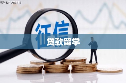 睢宁贷款留学